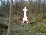 Залісся з panoramio.com