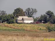 Гречане з panoramio.com - Grechane