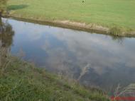 Стрілківці з panoramio.com