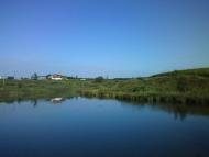 Половинчик з panoramio.com