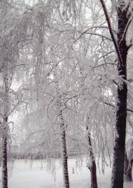 Феневичі з panoramio.com