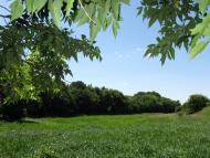 Келебердівка з panoramio.com