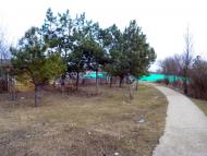 Миролюбівка з panoramio.com