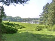 Зелений Гай з panoramio.com