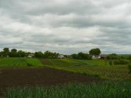 Лосятин з panoramio.com