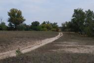 Капітанове з panoramio.com