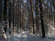 Авдіївка з panoramio.com