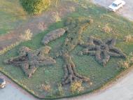 Роги з panoramio.com