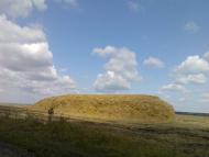 Рідкодуб з panoramio.com