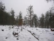 Зазим'я з panoramio.com