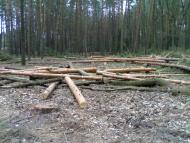 Дмитрівка з panoramio.com