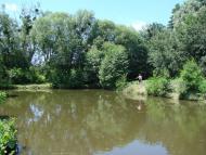 Роги з panoramio.com