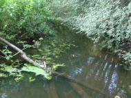 Брідок з panoramio.com