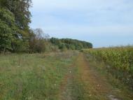 Забілівщина з panoramio.com