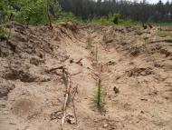 Гончарівське з panoramio.com