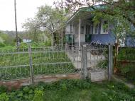 Борсуки з panoramio.com