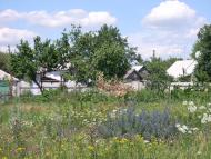 Кошары - Последние фото