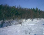 Розівка з panoramio.com