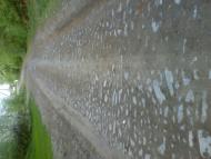 Меленці з panoramio.com