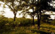 Раухівка з panoramio.com