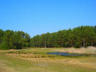 Солонів з panoramio.com