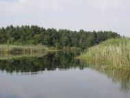 Buchyn - Latest photos