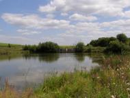 Половинчик з panoramio.com