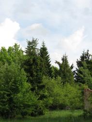 Княжин з panoramio.com