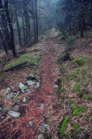 Згари з panoramio.com - Згары