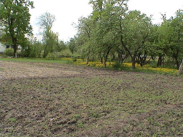 Забріддя з panoramio.com - Zabriddya