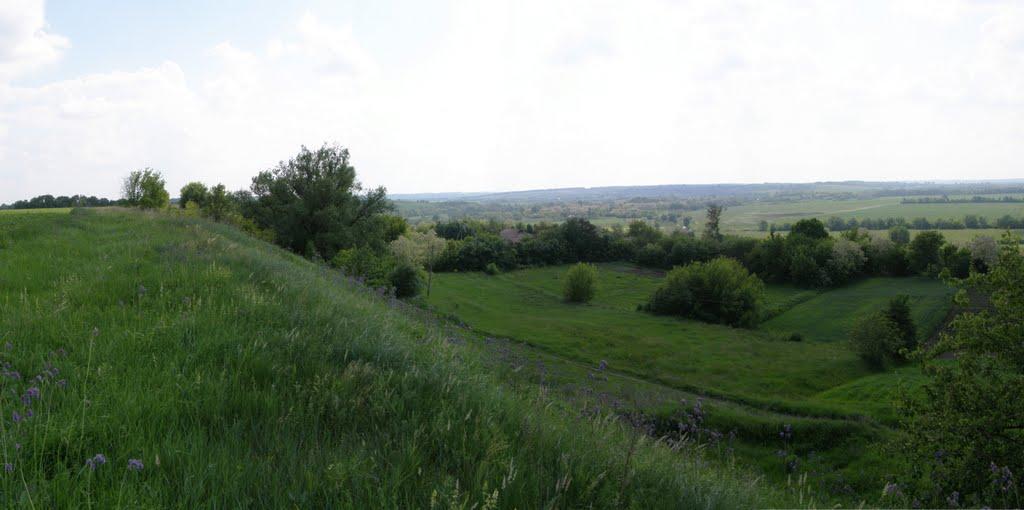 Русалівка з panoramio.com - Русалівка