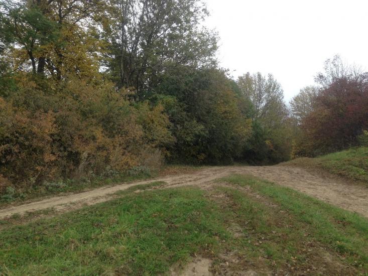 Вовківці з panoramio.com - Вовківці