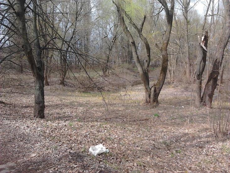 Глеваха з panoramio.com - Glevakha