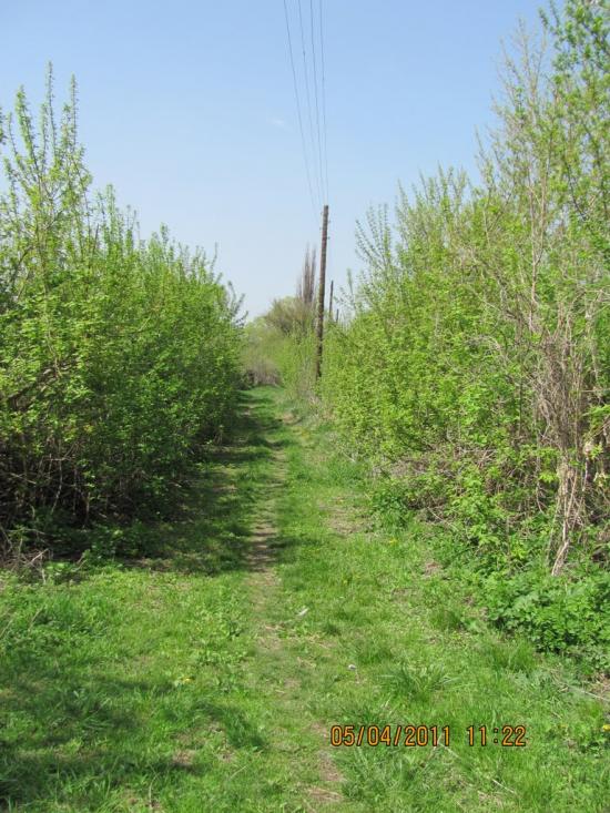 Мілуватка з panoramio.com - Мілуватка