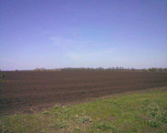 Підгородна з panoramio.com - Подгородная