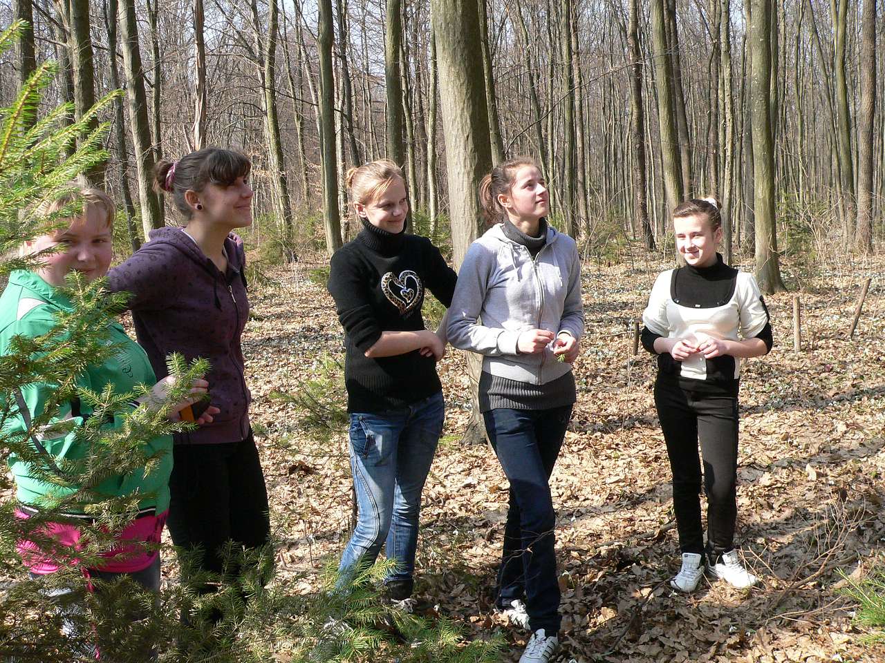 школа - Городниця