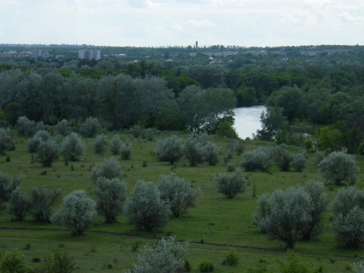 Слов'яносербськ з panoramio.com - Славяносербск