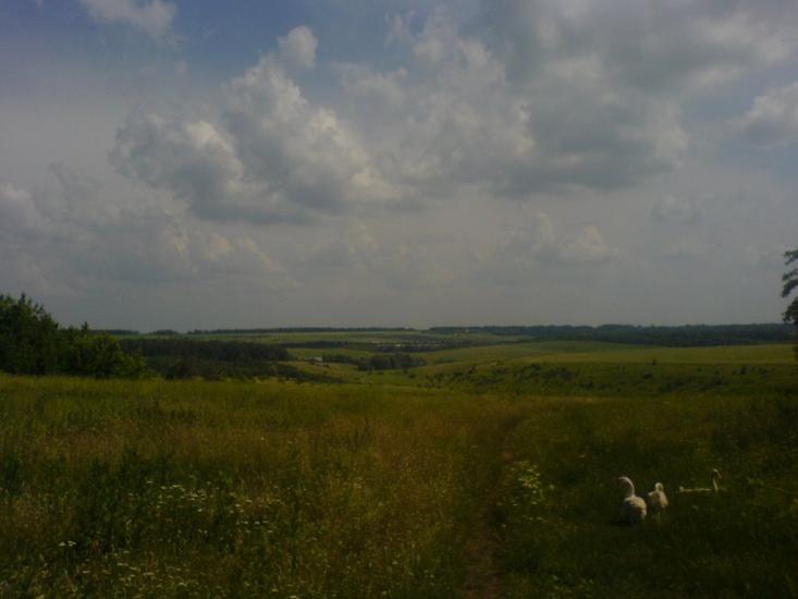 Дерегівка з panoramio.com - Дереговка