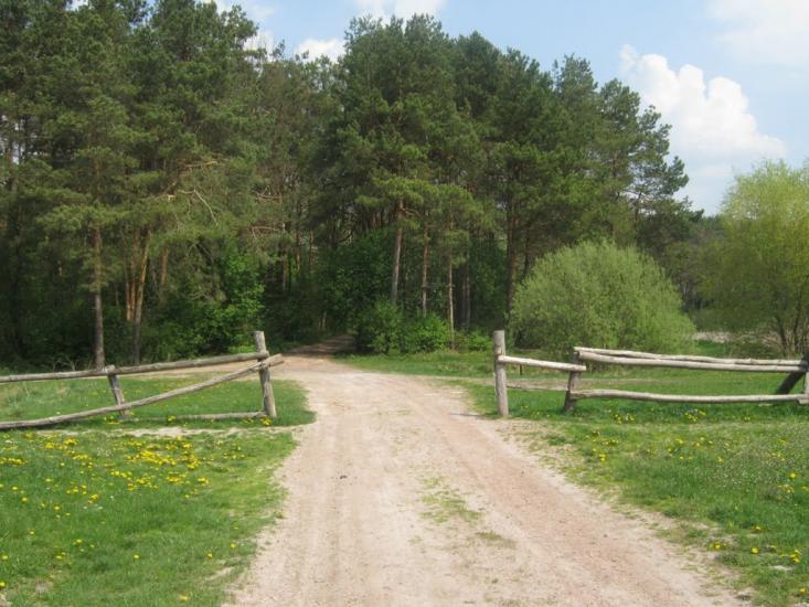 Комарів з panoramio.com - Komariv