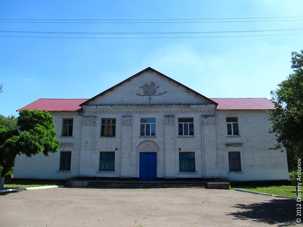 Рози Люксембург з panoramio.com - Гречани Поды