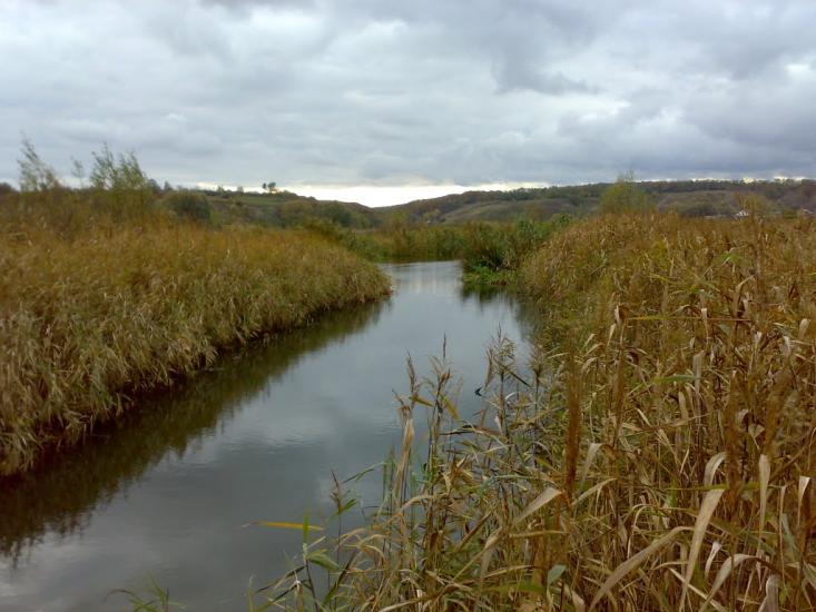 Липці з panoramio.com - Липцы