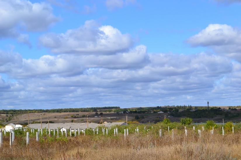 Новомлинівка з panoramio.com - Новомлинівка