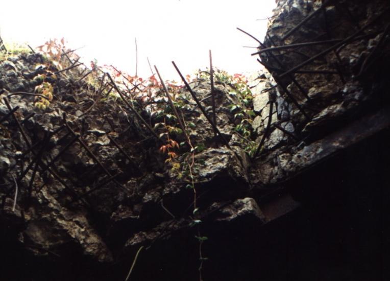Зелена Гута з panoramio.com - Zelena Guta