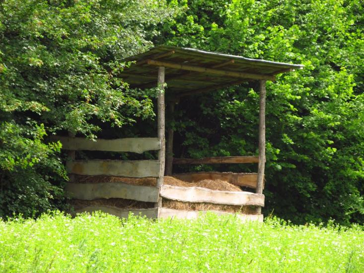 Маркова з panoramio.com - Маркова