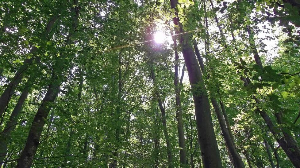 Загаття з panoramio.com - Загаття