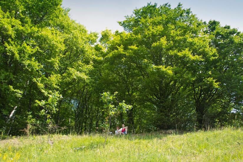 Воскресинці з panoramio.com - Voskresyntsi