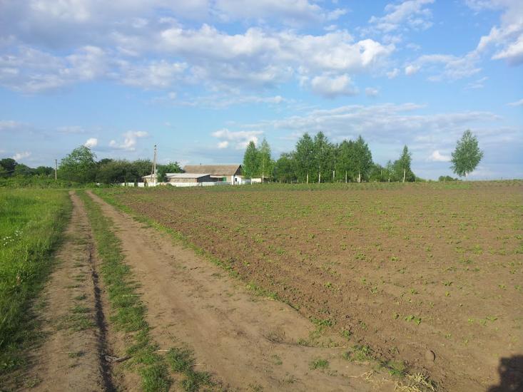 Темногайці з panoramio.com - Темногайці