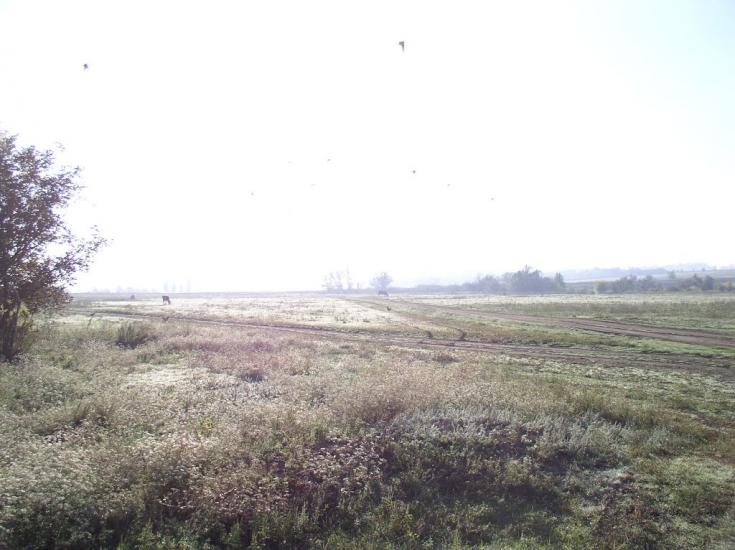 Райське з panoramio.com - Райское