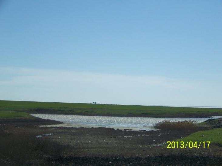 Чонгар з panoramio.com - Чонгар