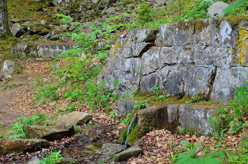 Яблунів з panoramio.com - Яблунів